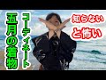 【知らないと怖い】5月の着物コーディネート