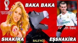 Dünya Kupası Alternatif Şarkısı - Waka Waka - Shakira ( Parodi) BAKA BAKA Eşshakira Resimi