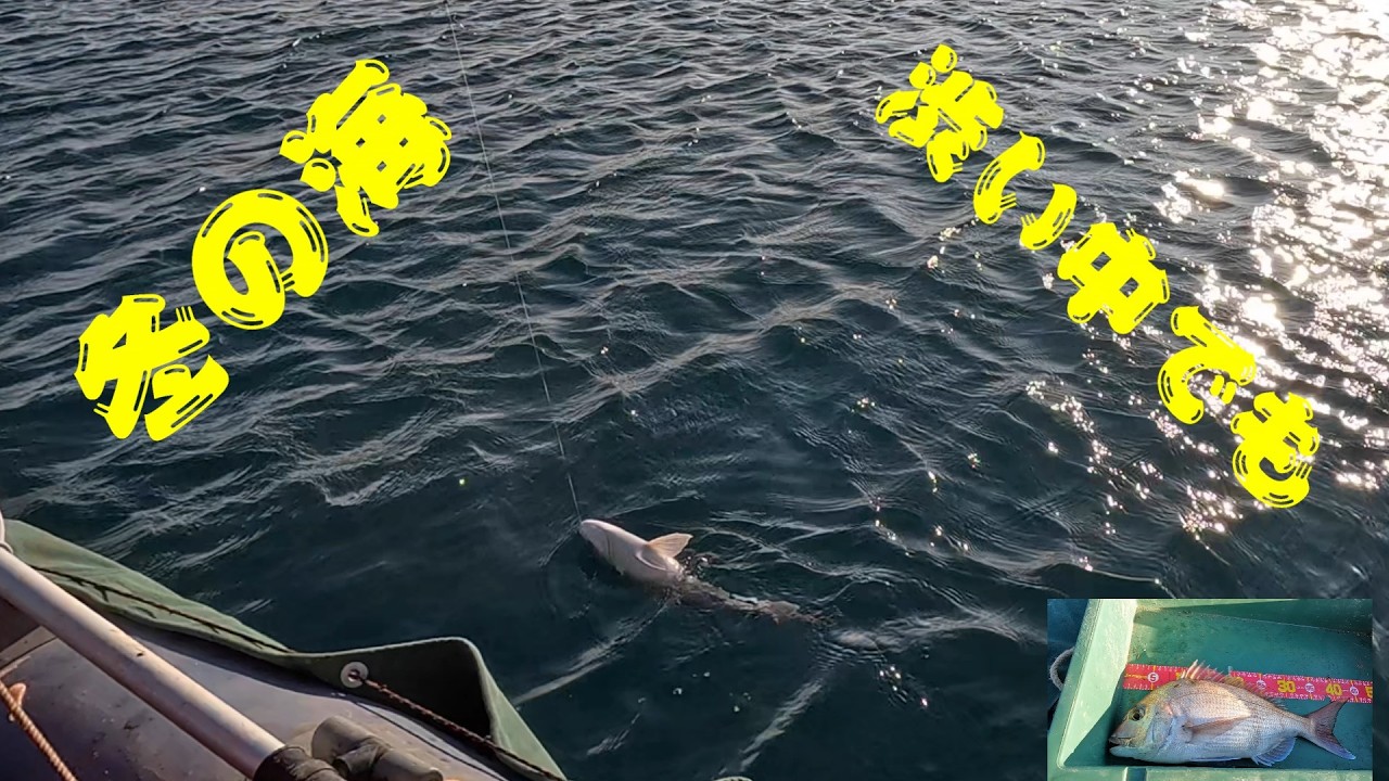 冬の新場所は過酷だった…それでも真鯛44cmゲット！एक बड़ी लाल समुद्री मछली पकड़ी!　fishing 4G