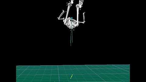 Motion Analysis Cortex and Visual3D