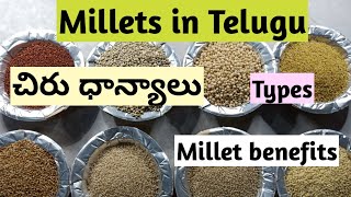 Millets in telugu | Millet benefits | Types of millets in telugu screenshot 5