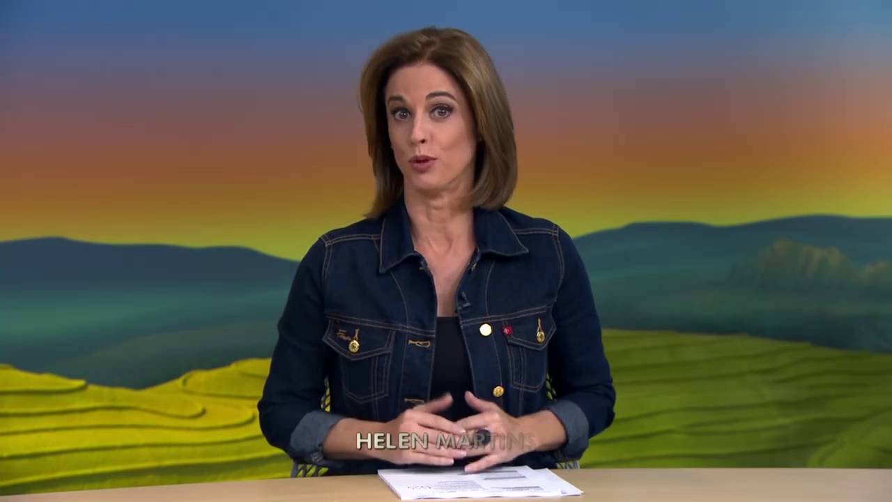 Equipe de pesquisadores desenvolve modelo doméstico de Aquaponia