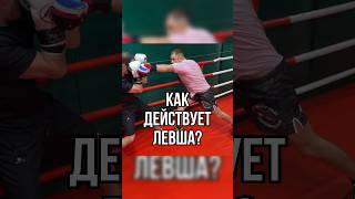 Как бьёт левша? #бокс #fitness #training #спорт #мма #школабокса #бой #boxing #удар #тренировка