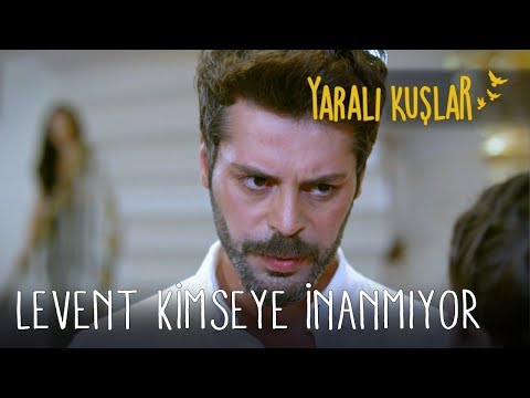 Levent Kimseye İnanmıyor | Yaralı Kuşlar 79. Bölüm (English and Spanish))