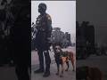 ARMY Training 🇮🇳 NSG commando &amp; Army  #viral #viralvideo #shorts #army #armylover #trending