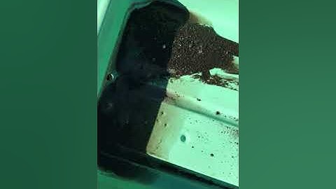 Stream Table "Double Table" experiment