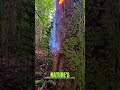5 Unbelievable Natural Moments That Don’t Feel Like Earth 😱