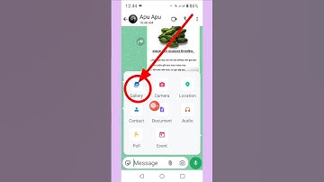 Send One Time View Pictures On WhatsApp #whatsapp #picture #send #viralreels #viralvideo #viralshort