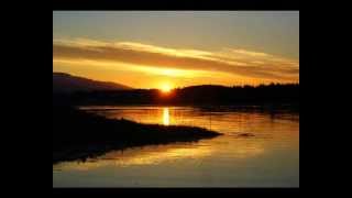 Wicked Sunset - Freddie Duran Plan Net Worth