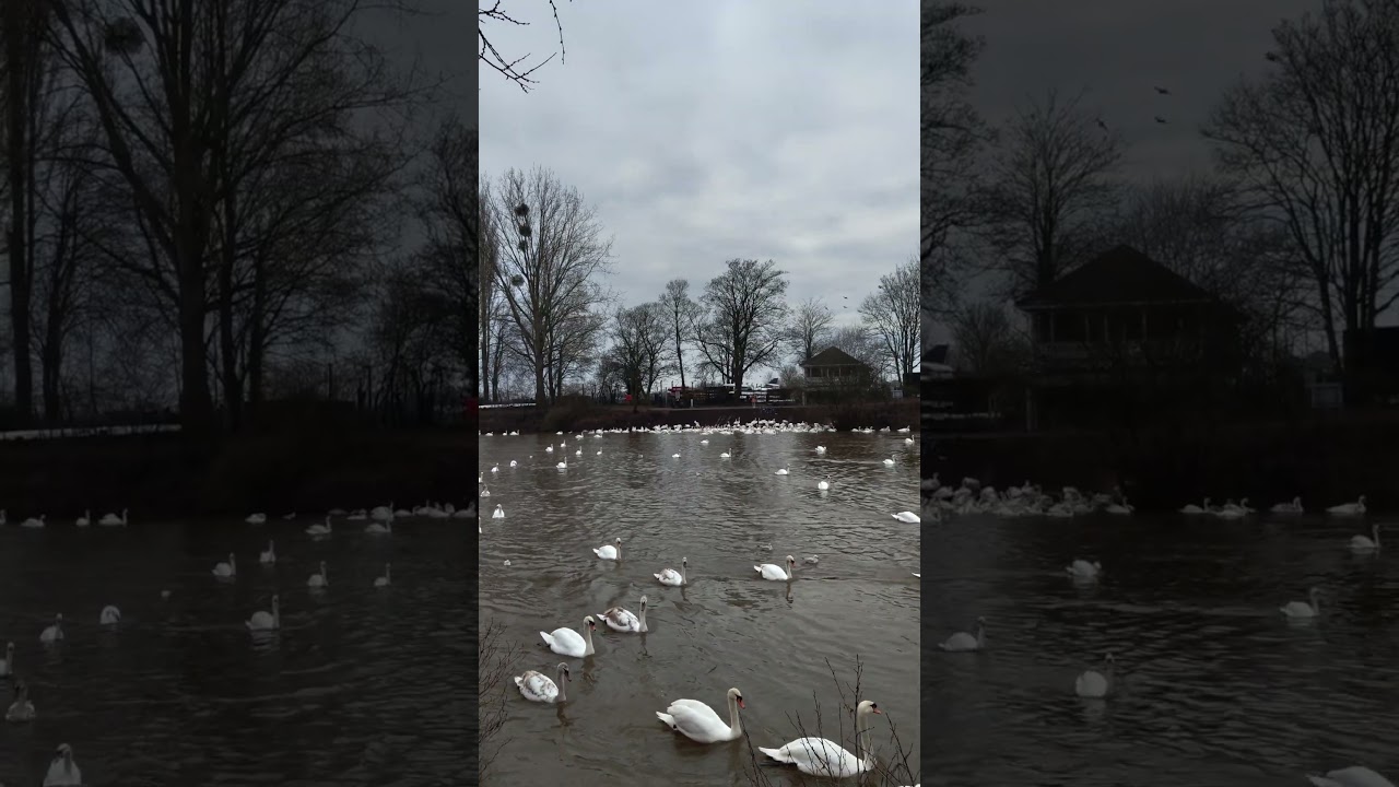 A Peaceful Stroll Through Worcester, UK 🇬🇧 