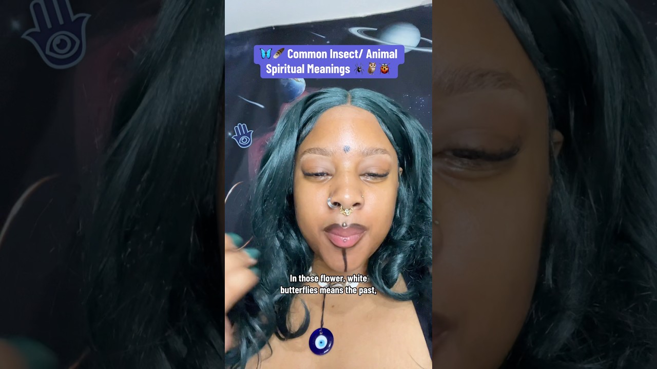 Common Insect and Animal spiritual meanings ✨ 