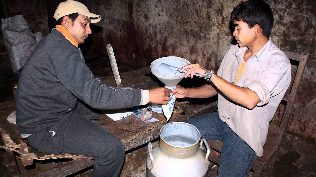 From the Ground Up - Sustainable Fodder Systems for Improving Incomes in Nepal