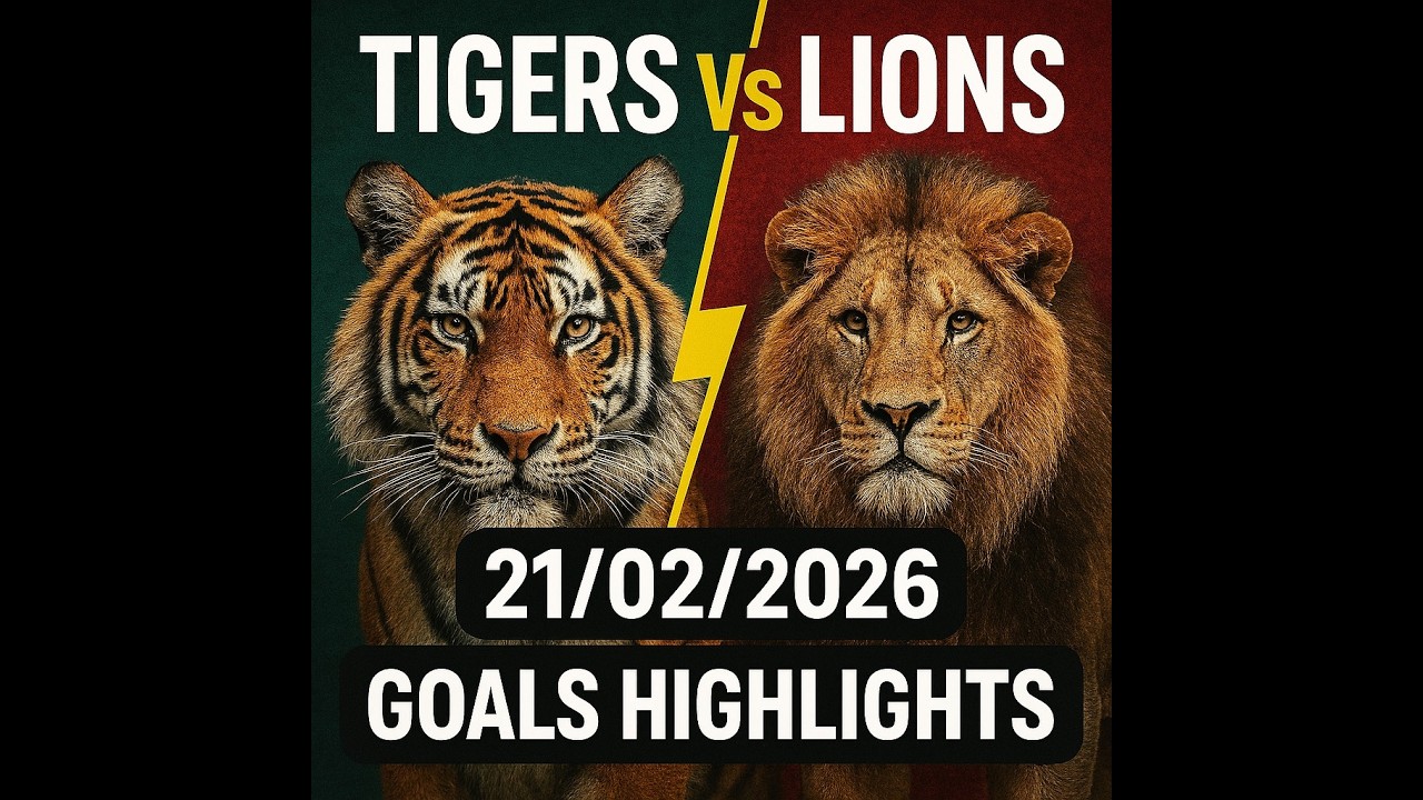 Tigers Vs Lions 21/02/2026 Goals Highlights