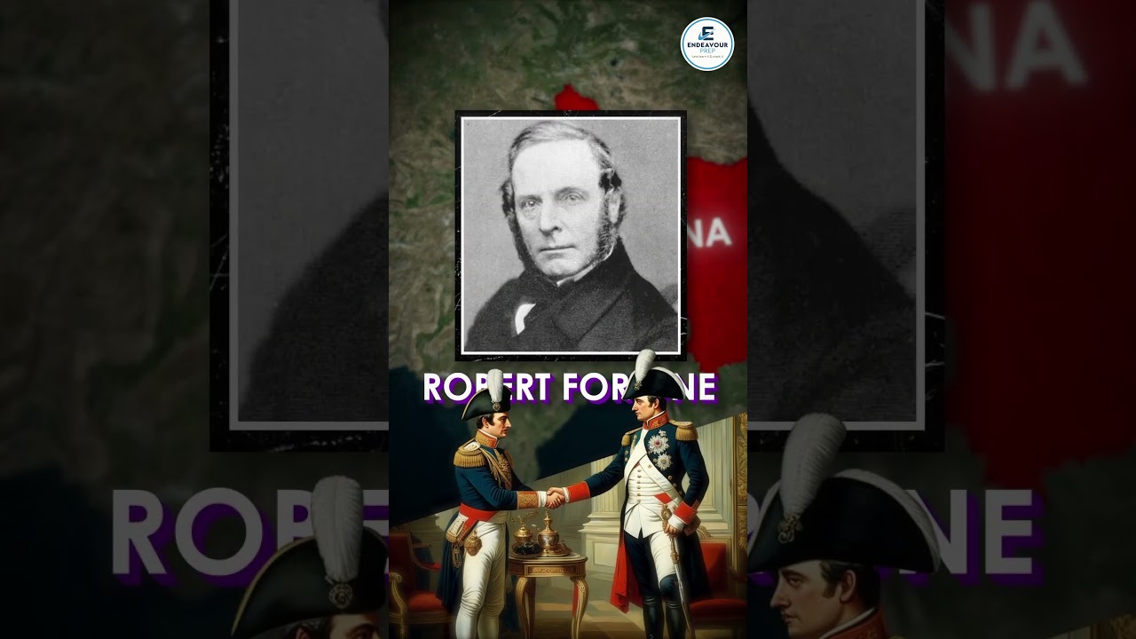 From Leaf to Cup: The Real History of India's Chai Economy 