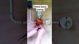 2 lamps controlled single switch #shorts #home #basic #electrical #wiring
