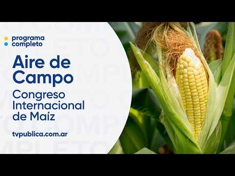 Congreso Internacional de Maíz: exportaciones, y desafíos del sector agropecuario - Aire de Campo