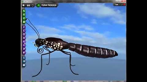 How to Use Cyber Science 3D