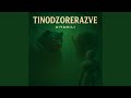 Tinodzorerazve Tinodzorerazve