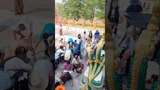 Scattering coins for charity in ordination ceremony #thailand #fun #charity #happy #shorts