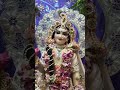 Radhe Radhe #shortsfeed #shortvideo #shorts