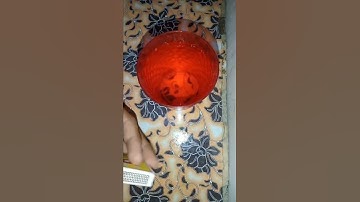 Matchbox Hacks🔥l Easy Matchbox Experiment With NailPolish l Easy Matchbox Tricks❤️l Tricks l#shorts