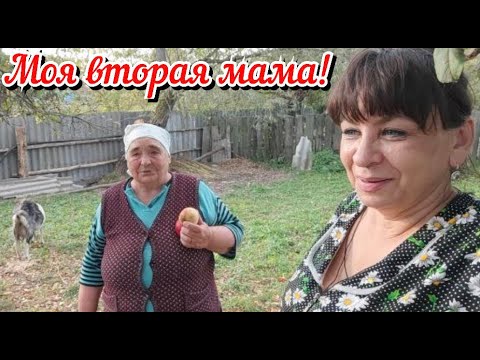 Хутор мамы ларисы новые видео