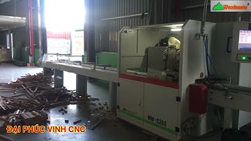 MÁY CẮT NGANG KHUYẾT TẬT VẠCH PHẤN CAO TỐC WOODMASTER