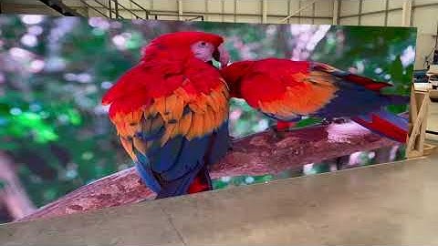 Large Format Indoor LED Screen