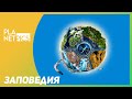 VR 360 | ЗАПОВЕДИЯ