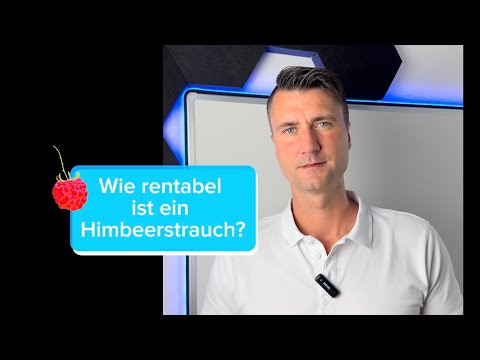 Rechnet sich ein Himbeerstrauch? 🫐🍓#MatheMitNick 👨🏻‍🏫