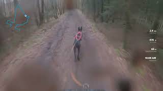 BCF: Dogscooter Championship @Habay Day 1 with Zoran Part 1