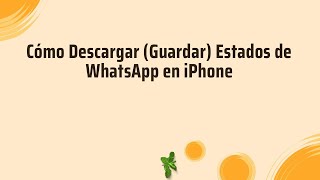 Cómo Descargar (Guardar) Estados de WhatsApp en iPhone screenshot 5