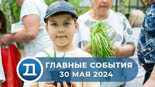 30.05.2024 Домодедово. Главные события.