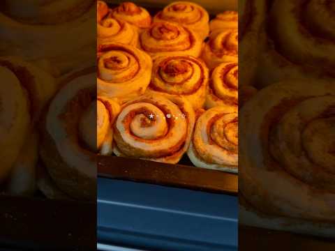 شورتس يوميات سينابون ابلور