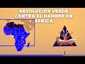Revolución Verde: luchando contra el hambre en África