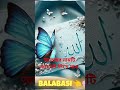 #ইসলামিক_ভিডিও #shortvideo #unfrezzmyaccount  #allah #allah #allah #allah #allah #সাবস্ক্রাইভ করুন