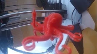 RoBo 3D R1 Timelapse - Rocktopus