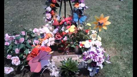 Eleanor Luna/Rest In Peace Loved Ones