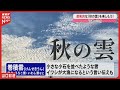 雲が魅せる神秘的な瞬間!秋の空に広がる芸術作品~天気のミカタ~