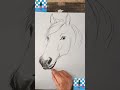 #YouTube# shorts#video 📸📸#graphic#designer#picture artist#horse 🐴🐴🐎#pick