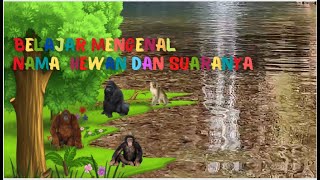 Belajar Mengenal Nama dan Suara Gorila, Orangutan, Simpanse, Kera