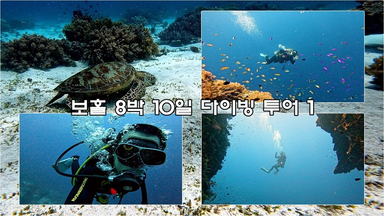 🇵🇭필리핀 보홀 8박 10일 다이빙 투어 1편. (보홀여행/스쿠버다이빙)