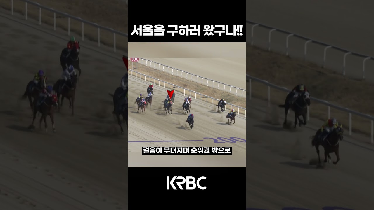 서울을 구하러 왔구나! #shorts #경마방송 #기수 #경주마 #경마 #KoreaHorseRacing