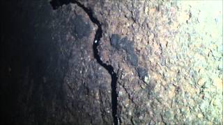 Celebrity HOW TO REPAIR BLACK TOP CRACKS Net Worth