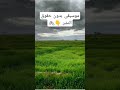 موسيقى بدون حقوق النشر والملكية والطباعة