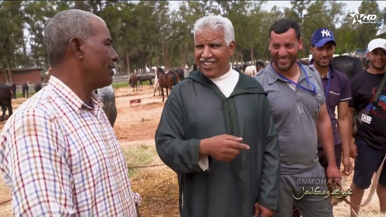 البرنامج الوثائقي عيوط و مكاحل 3 الحلقة الثالثة تقديم محمد عاطر كواليس التبوريدة من دار السلام 🐴 🐎