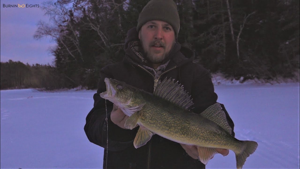 Ice Fishing Northern Wisconsin Walleyes on Tip Ups YouTube