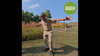 Attempting The Secretary Birds Killer Kick