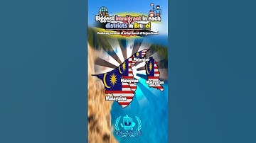 Biggest immigrant in each districts in Brunei #shorts #mapping #brunei #fyp #map #geography #viral