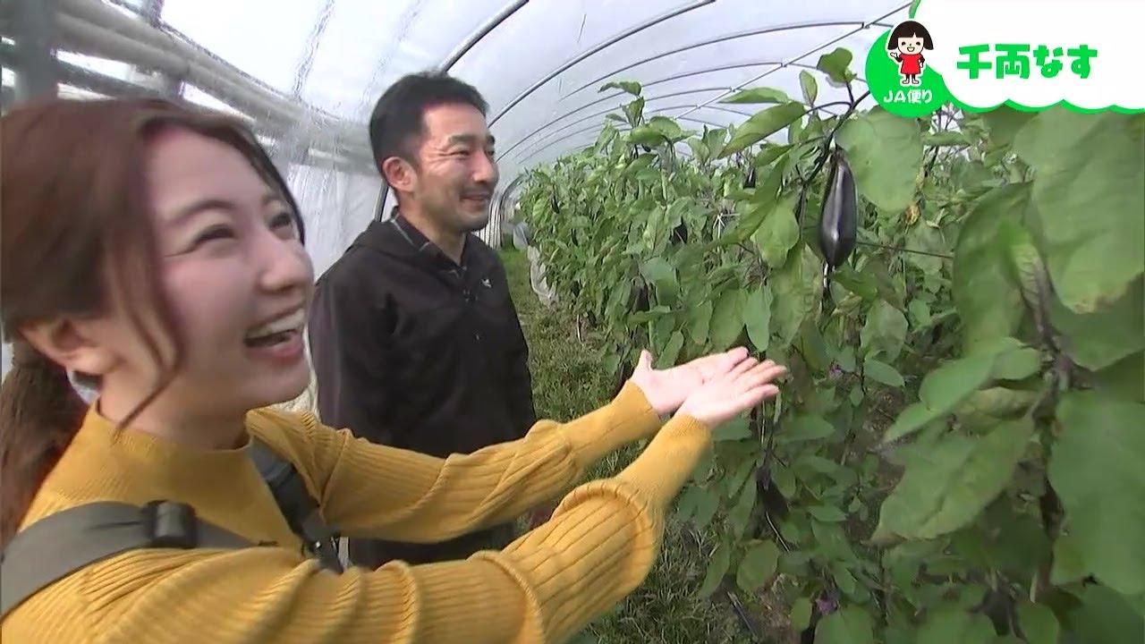 ナスの害虫対策使われている作物は？「総社市の千両なす」｜【笑味ちゃん天気予報】2026年3月3日放送